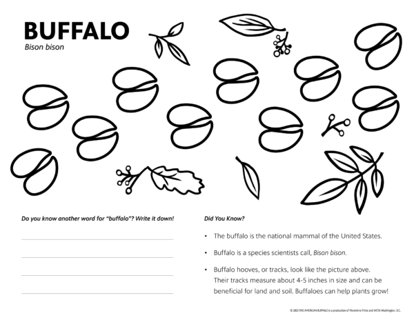 American Buffalo - Kids coloring page with buffalo footprints and assorted plants