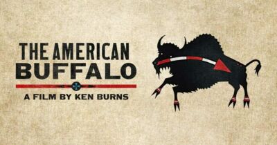 The American Buffalo poster image