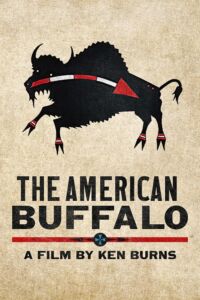 The American Buffalo film poster