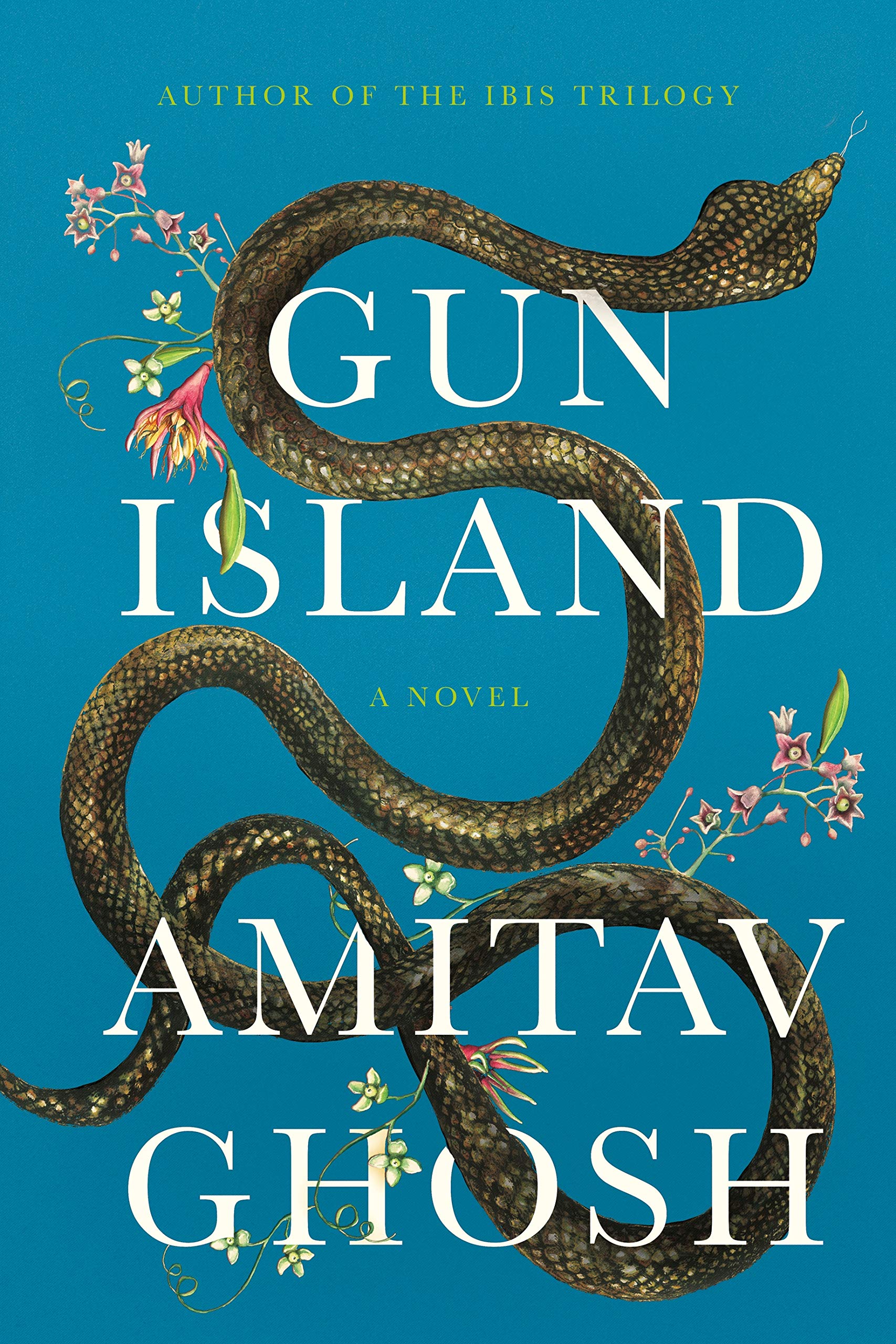Guns island. Ghosh, Amitav "Gun Island". Gun Island. Ган Айленд. Амитав Гош книги трилогия.